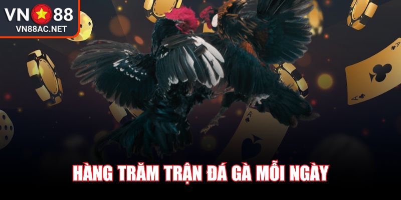 Vn88 Ac Net 💗 Kèo Nhà Cái Vn 88 - Link Đăng Nhập Vn88 Trang Chủ Mới Nhất 2025 36 Hàng trăm trận đá gà mỗi ngày